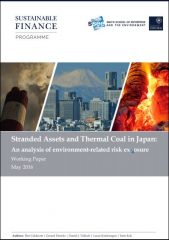Stranded assets and thermal coal in Japan: an analysis of environment-related risk exposure